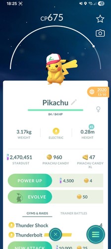 Pikachu ash hat pokemon - ash,
