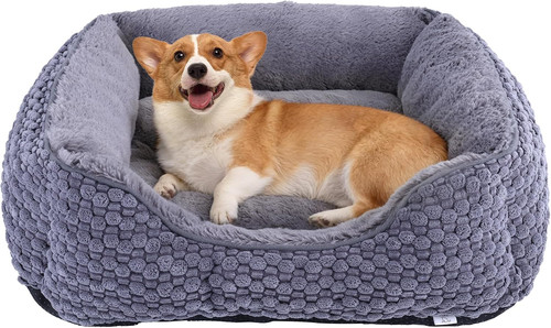 Cozy medium plush - cozy, dog