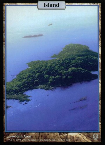 Mtg english island nm - english,