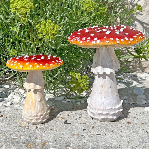 Pair mushroom toadstool - pair, of