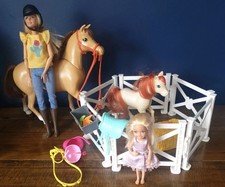 Barbie Genuine Horse Riding Paddock Playset Chelsea doll Pony