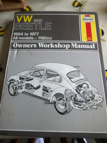 Haynes beetle 1200 - beetle,