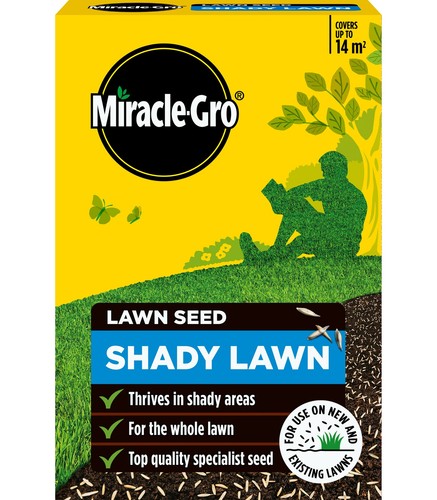 Miracle gro evergreen - evergreen, premium