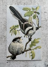 Vintage Card 1989 Long-Tailed