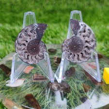 White Madagascar polished