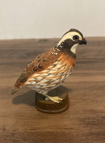 Quail unlimited limited - quail,