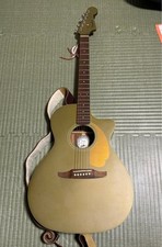 Fender Newporter Player