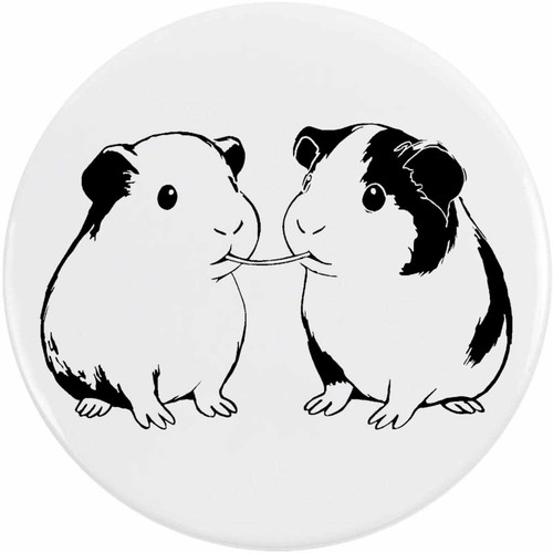 Guinea pigs eating button - pigs,
