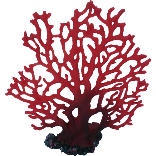 Red fern fan marine coral - fern,