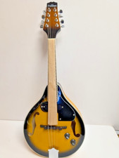 Freshman M1E Chicago Sunburst