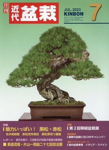 Japanese bonsai magazine - japanese,