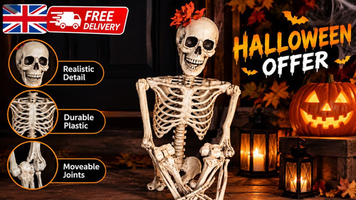 Life size human skeleton 40cm - size,