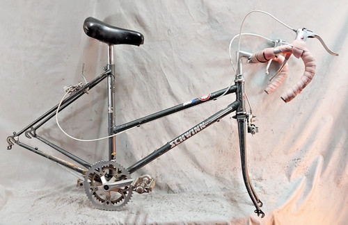 Schwinn world sport - 84',