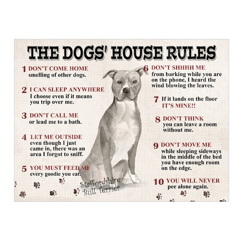 The dogs house rules - dogs,