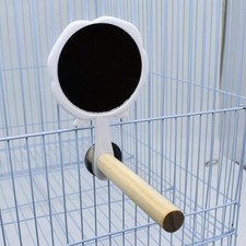 Bird Mirror with Perch Wood