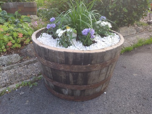 Oak whiskey barrel - barrel, planter