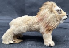Antique Miniature Taxidermy