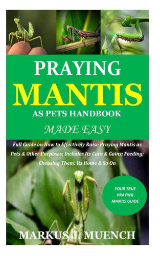 Praying mantis pets - praying,