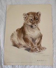 Vintage Ralph Thompson Original Specimen Print Tryon Gallery *some damage 