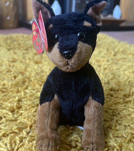 Trooper the doberman pinscher - trooper,