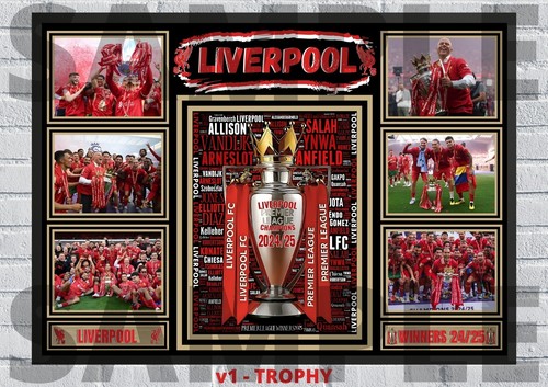 Liverpool premier league - fc,