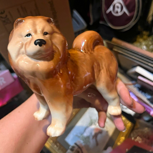 Melba ware chow - ware, dog