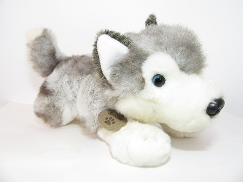Keel storm husky dog puppy - keel,