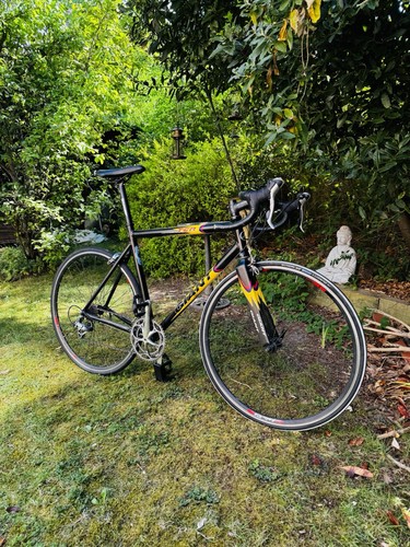 Giant tcr road bike size - bike,