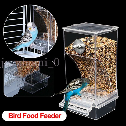 Auto bird feeder cup mess - bird,
