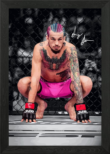 Sean malley ufc fighter - o'malley,