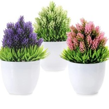 Artificial Plants in pots