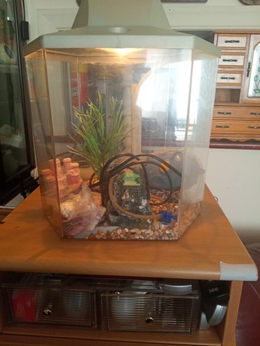 20l hexagonal hexagon hard - 20l,