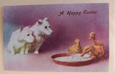 Very Cute Dog Postcard, Westie