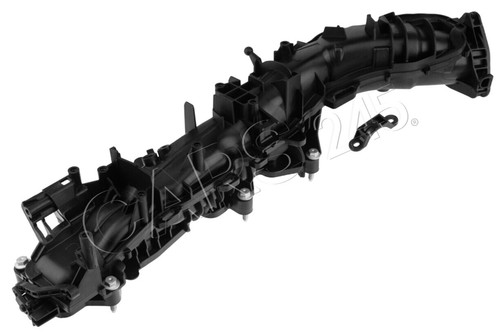 Intake manifold module - intake,