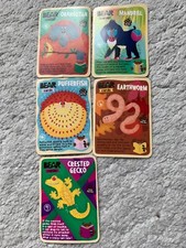 YoYo Bear Animal Cards