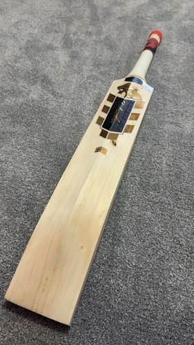 Panther sports cricket - panther,