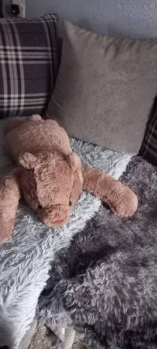 Large heavy bear teddy - bear,