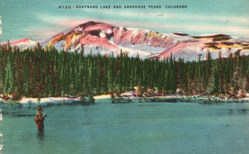 Vintage postcard 1950 braynard - postcard,