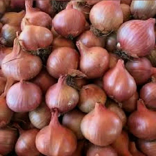 Shallots bulbs red sun - shallots, sun"