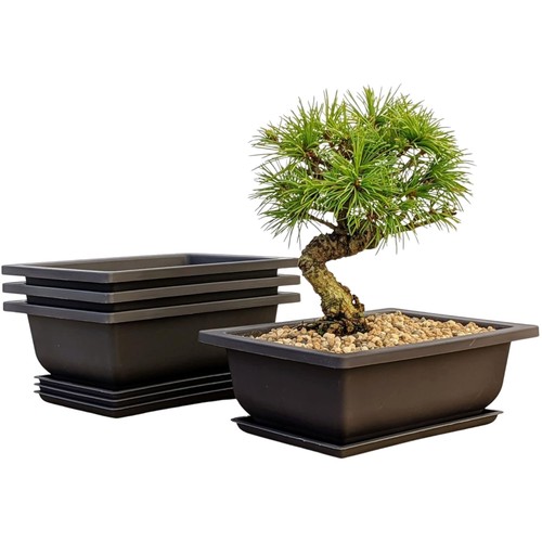 Pack inches plastic - 3,