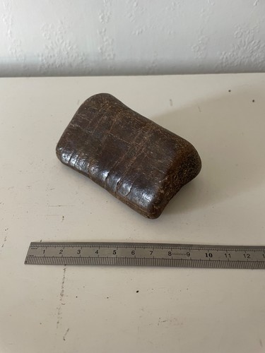 Iguanodontid shin bone section