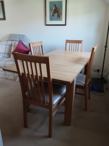 Dining room table and chairs - room,