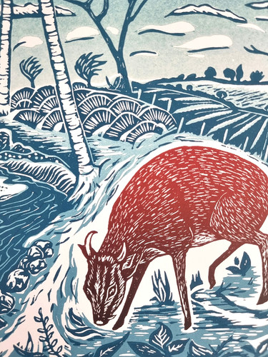Muntjac original linocut print - original,