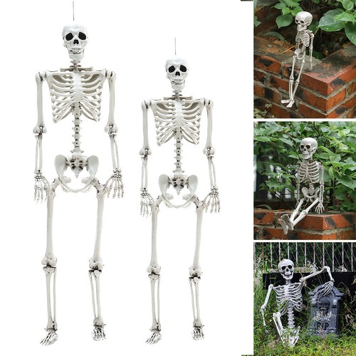 170cm poseable full - poseable, life