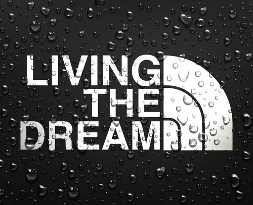 Living the dream - dream, vinyl