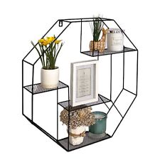 Metal Wire Floating Hexagon