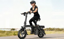 Electric Bike Adults Teens