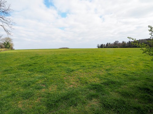 Photo 6x4 pasture land little - 6x4,