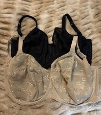 Panache Tango II Black Nude 2