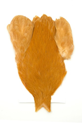 Ifs whiting genetic hen - whiting,